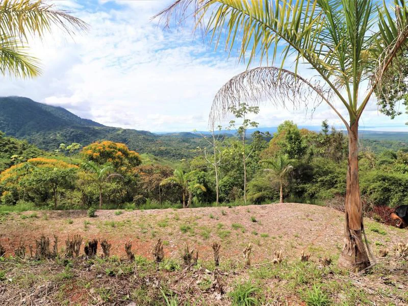 Captivating 3.15-Acre Property: Huge Pricedrop! Firesale Oceanview Lot in Tres Rios - Gallery image 35
