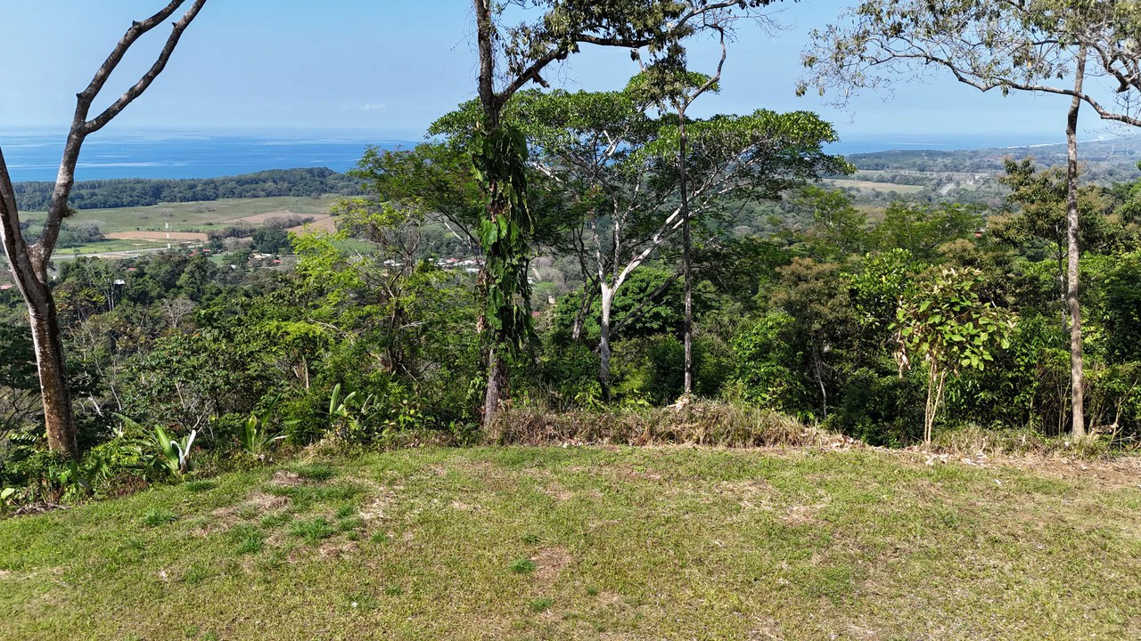 The Crown Jewel Ocean View Lot Hatillo - Gallery image 4