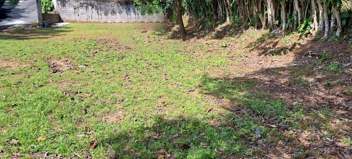 Land for Sale in Sarchí, Alajuela - Gallery image 6