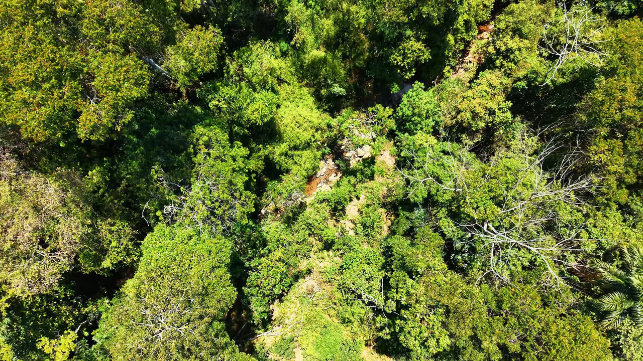 Agricultural Land For Sale in MORAZAN - Gallery image 22