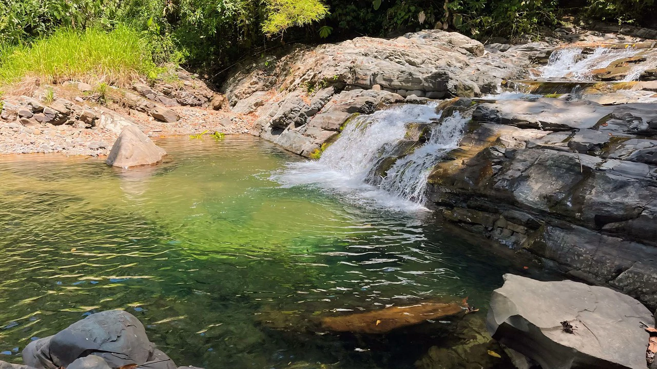 FINCA CERRO DEL TIGRE! OVER 20 ACRES OF PRIMARY FOREST AND WATERFALLS.: Mountain Agricultural Land For Sale in La Unión - Gallery image 9