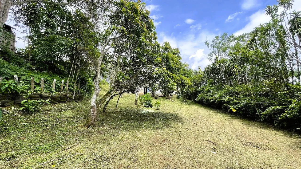INVESTMENT: HOUSE & LARGE LOT IN SAN ISIDRO, SAN RAMON: House For Sale in San Ramón - Gallery image 4