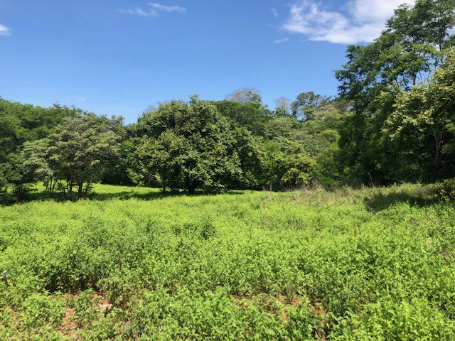 Amazing 50% discount for Huge ocean-view farm for sale surrounded by soft rolling hills and pristine nature - Gallery image 23