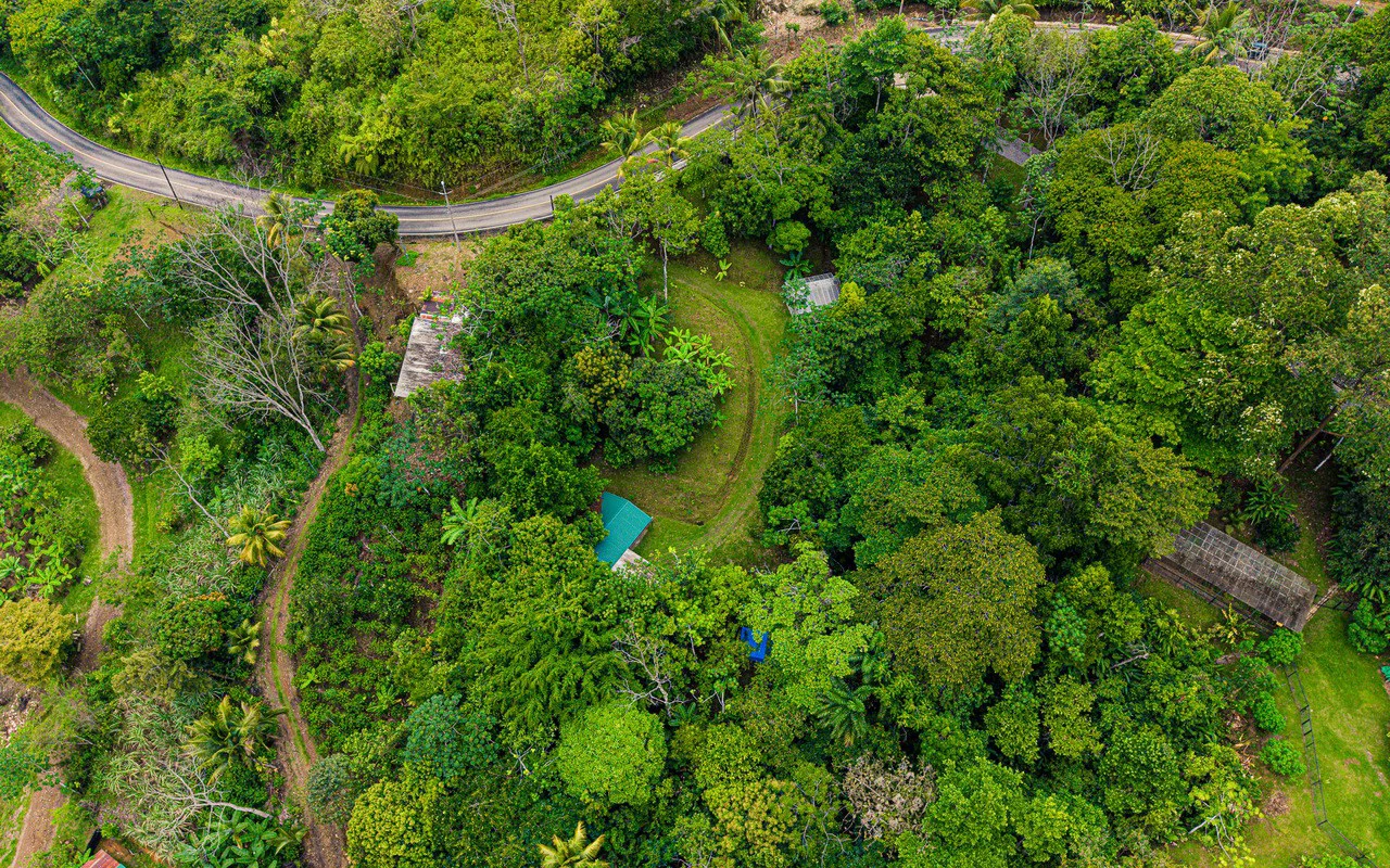 Off Grid Luxury Estate Micro Regenerative Homestead Tinamastes - Gallery image 85
