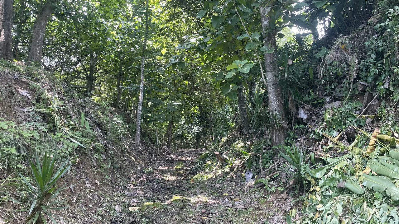 Lote playa Pita Puntarenas:    Your Opportunity on Costa Rica’s Central Pacific Coast - Gallery image 5