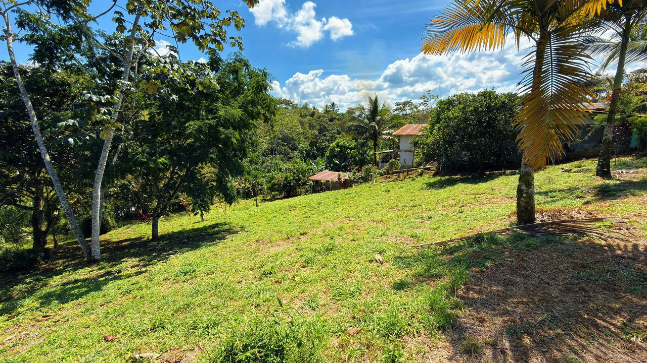 Countryside Home Construction Site For Sale in San Pedro - Gallery image 4
