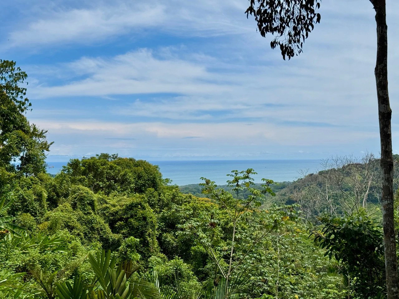 1.6 ACRES – 3 Bedroom Ocean And Mountain View Home With Pool, Public Road Frontage, ASADA Water, Room To Expand!!!! - Gallery image 8