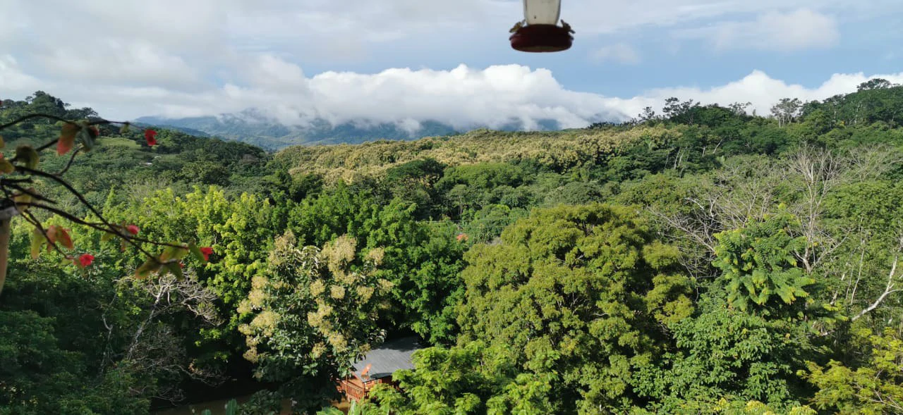 Agricultural Farm for Sale in the mountains of Hojancha, Beautiful 25-acre property with floating lake Apartment and Huge main home - Gallery image 4