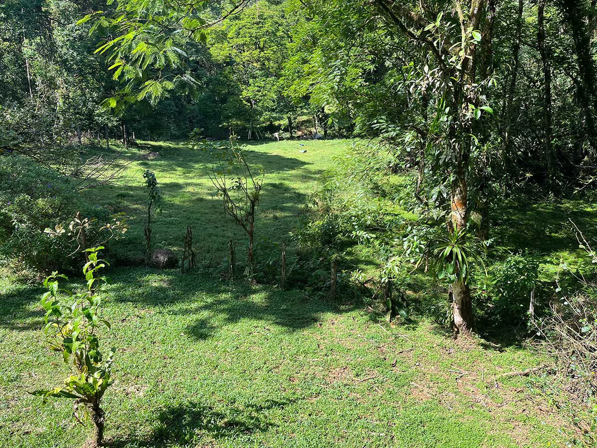 ID 4161: Expansive Farm for Sale in Sarapiquí, Heredia: Pastureland, Rivers & Private Fores - Gallery image 2