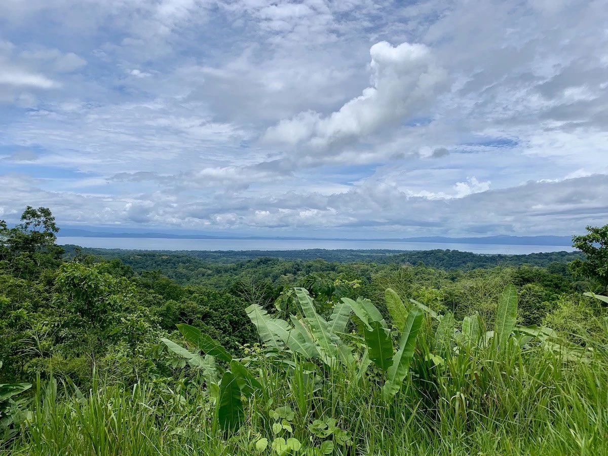 High Elevation Rainforest and Ocean View Property - Gallery image 17