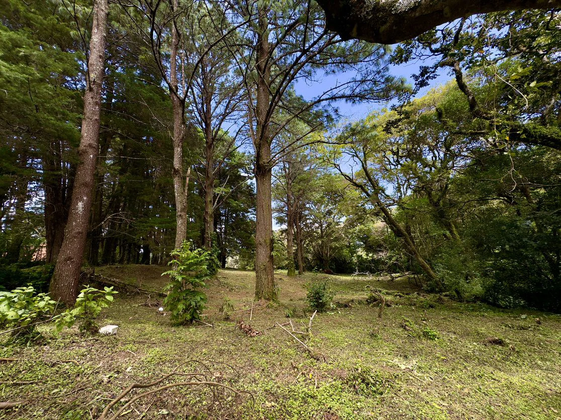 Live in harmony with nature in San Rafael de Heredia - Gallery image 6