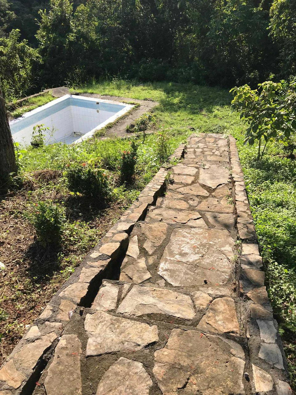 ID 4063: Bahia Gigante, a little piece of heaven on earth - Gallery image 11