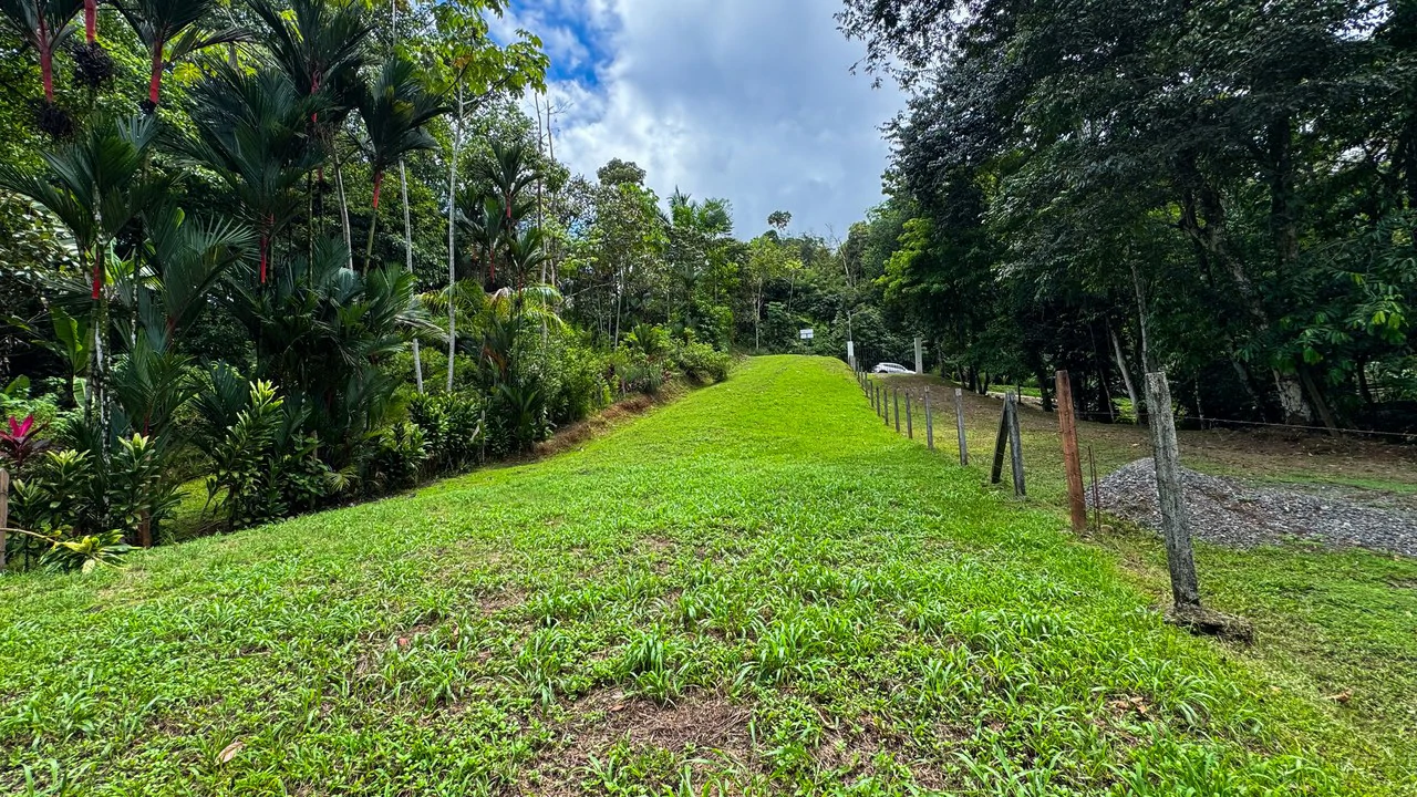 Beautiful Lot Ready to Built in Playa Hermosa, Osa with a Creek - Gallery image 10