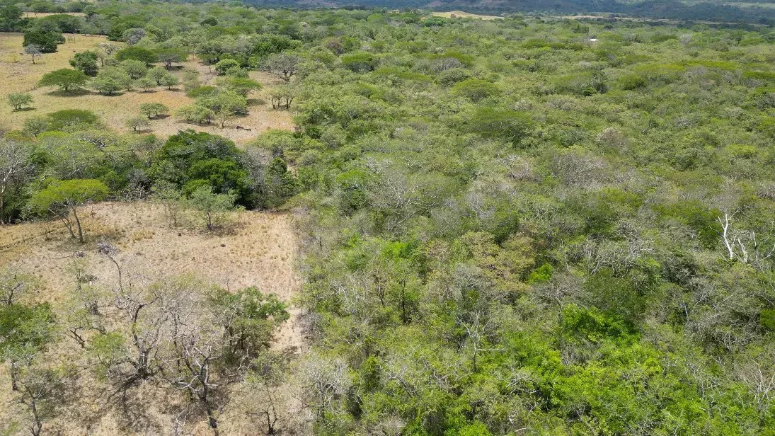 Land for Sale in Liberia, Guanacaste - Gallery image 11