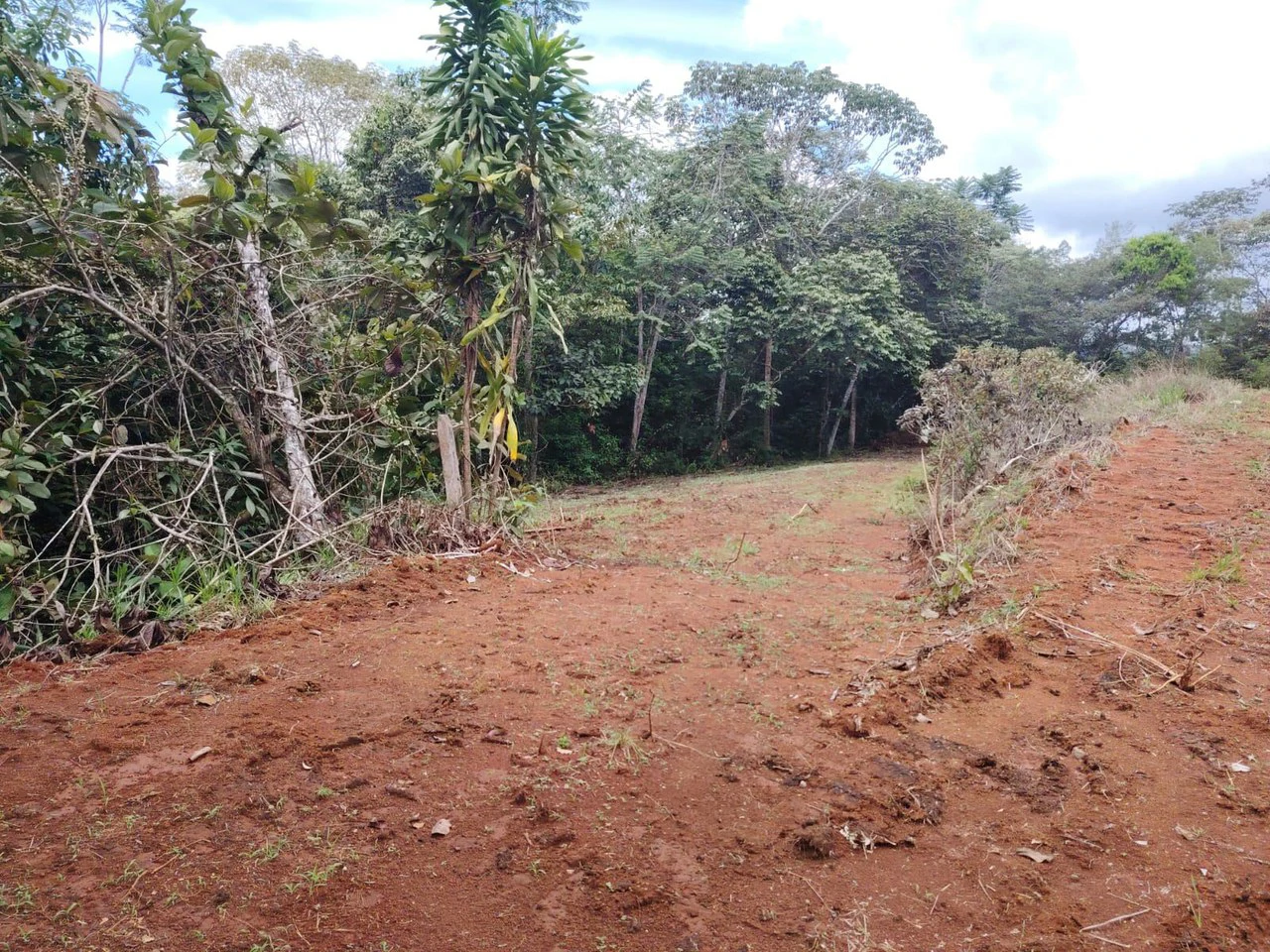 Se vende lote de 1000m2, ubicado cerca del colegio Aeropuerto Jerusalen, Perez Zeledon: Home Construction Site For Sale in Centro de Pérez Zeledón - Gallery image 7
