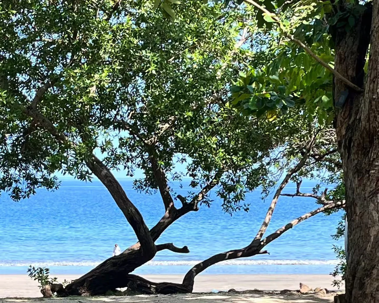 Villa Pacifique: Ocean views from the Villa Sol resort community! - Gallery image 91