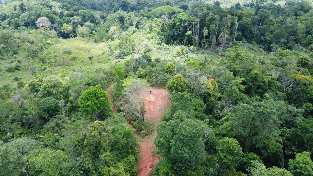 CONSERVATION AND DEVELOPMENT LAND WITH OCEAN VIEW IN SIERPE, COSTA RICA - Gallery image 23