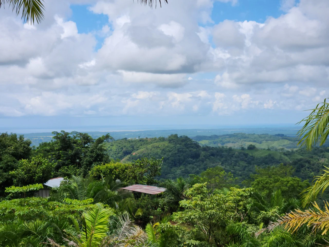 PRIME PARRITA FARM FOR SALE - Gallery image 3