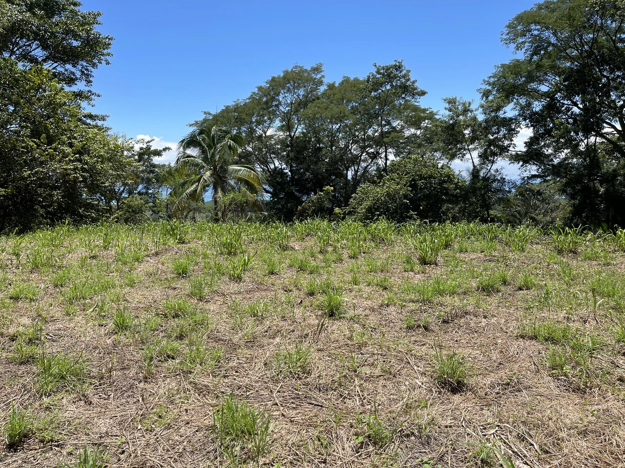 5.4 ACRES – Amazing Ocean View Acreage With Multiple Building Sites And Legal Water!!! - Gallery image 8