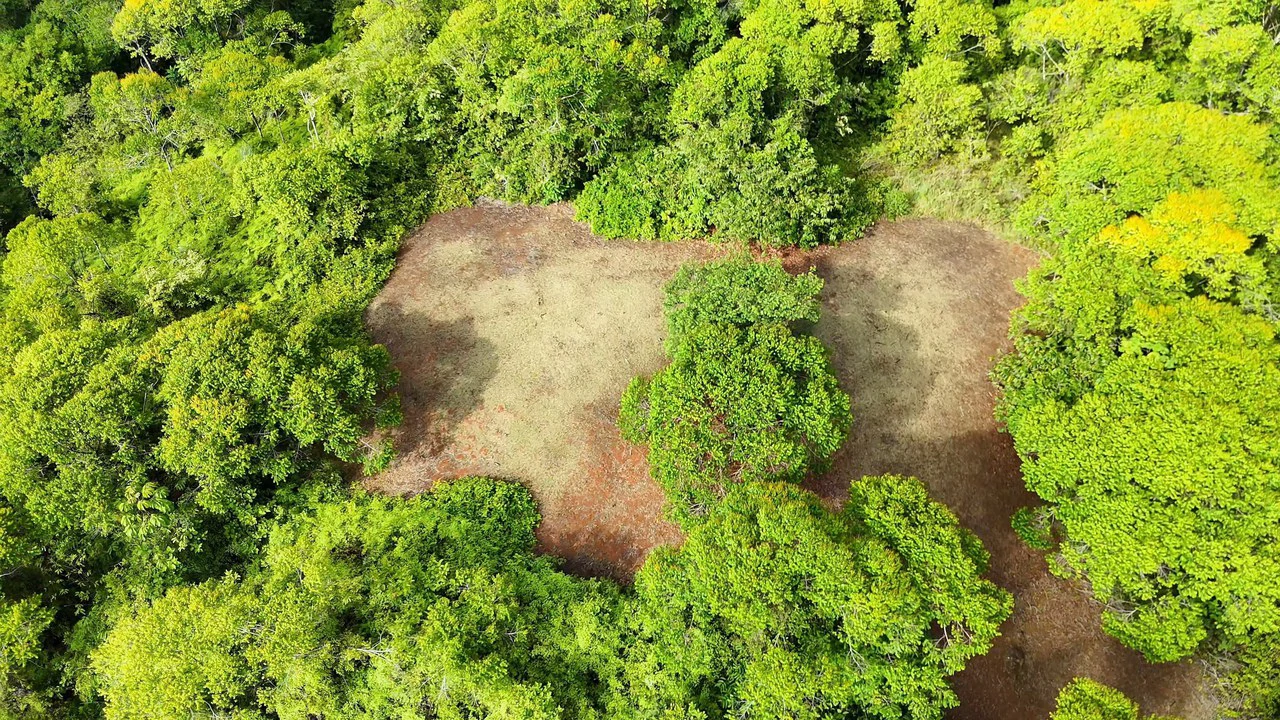 FINCA EN BARÚ GUSTAVO-149760: Mountain Agricultural Land For Sale in Barú