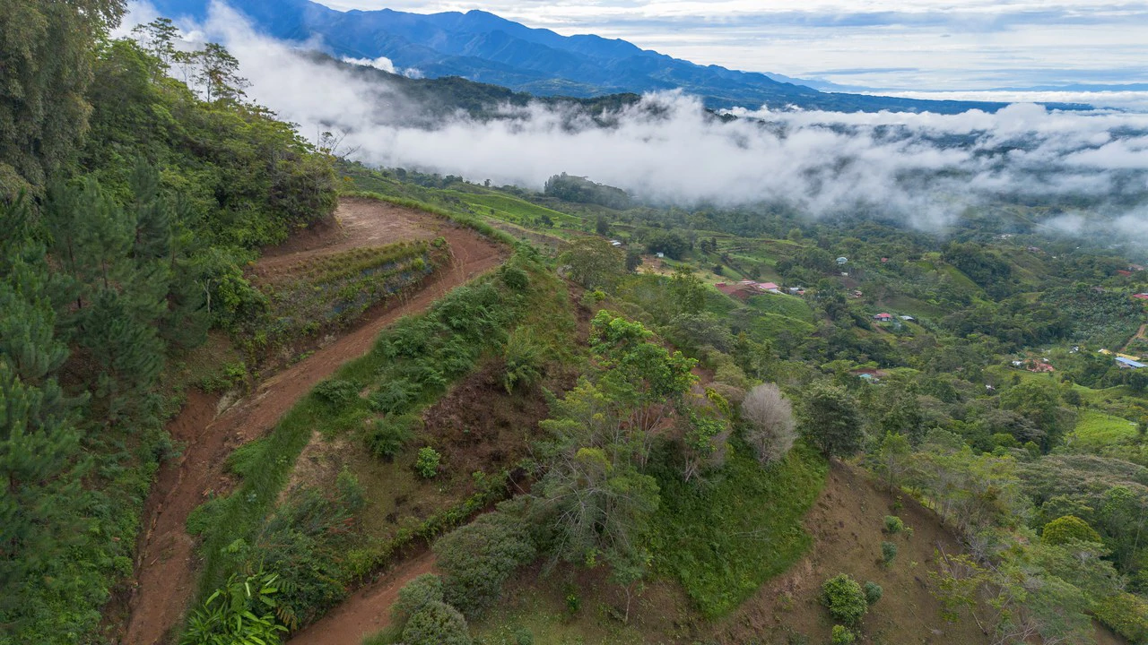 10.21 Acres with Views & Plantels – Pérez Zeledón - Gallery image 18