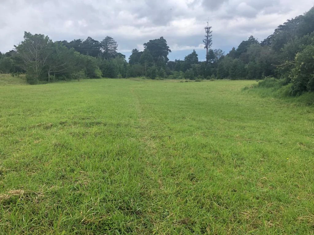 Horse ranch mountain farmland with its own stable's in San Rafael, Heredia - Gallery image 14