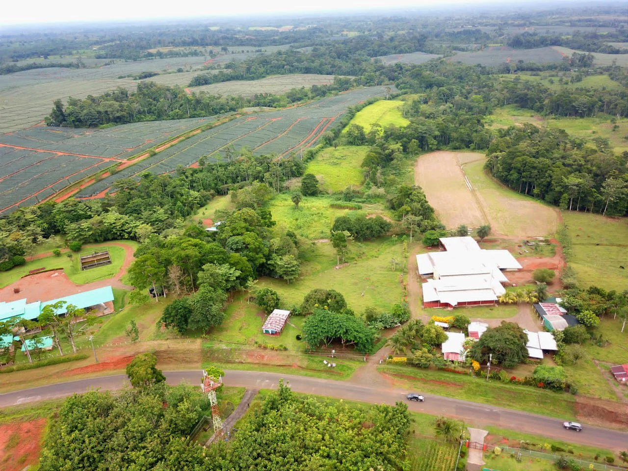 Professional Milk Factory for Sale with a big house in the mountains of Bijagua Costa Rica - Gallery image 4