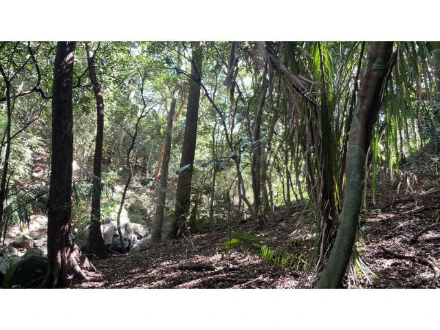 Nature Paradise Farm for sale in the mountains of Quebrada Grande, Building potential property 30 minutes away from Liberia - Gallery image 19