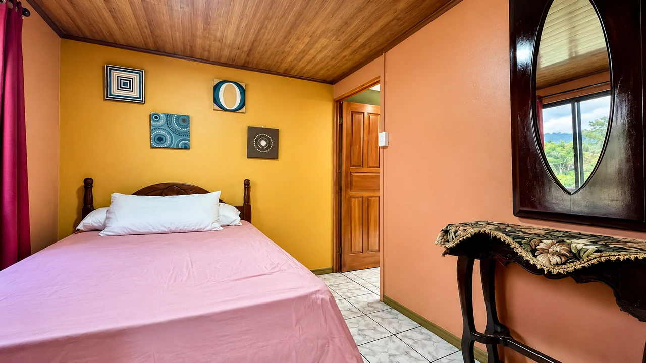 House For Sale in Centro de Pérez Zeledón - Gallery image 8