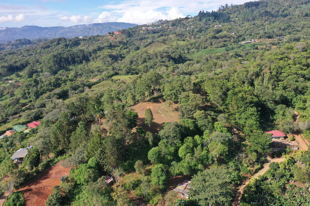 Stunning 2.4 Acre Property in Quebradas San Isidro del General - Gallery image 10