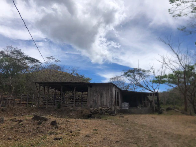 Costa Rica horse Farmland close to Monteverde - Gallery image 7