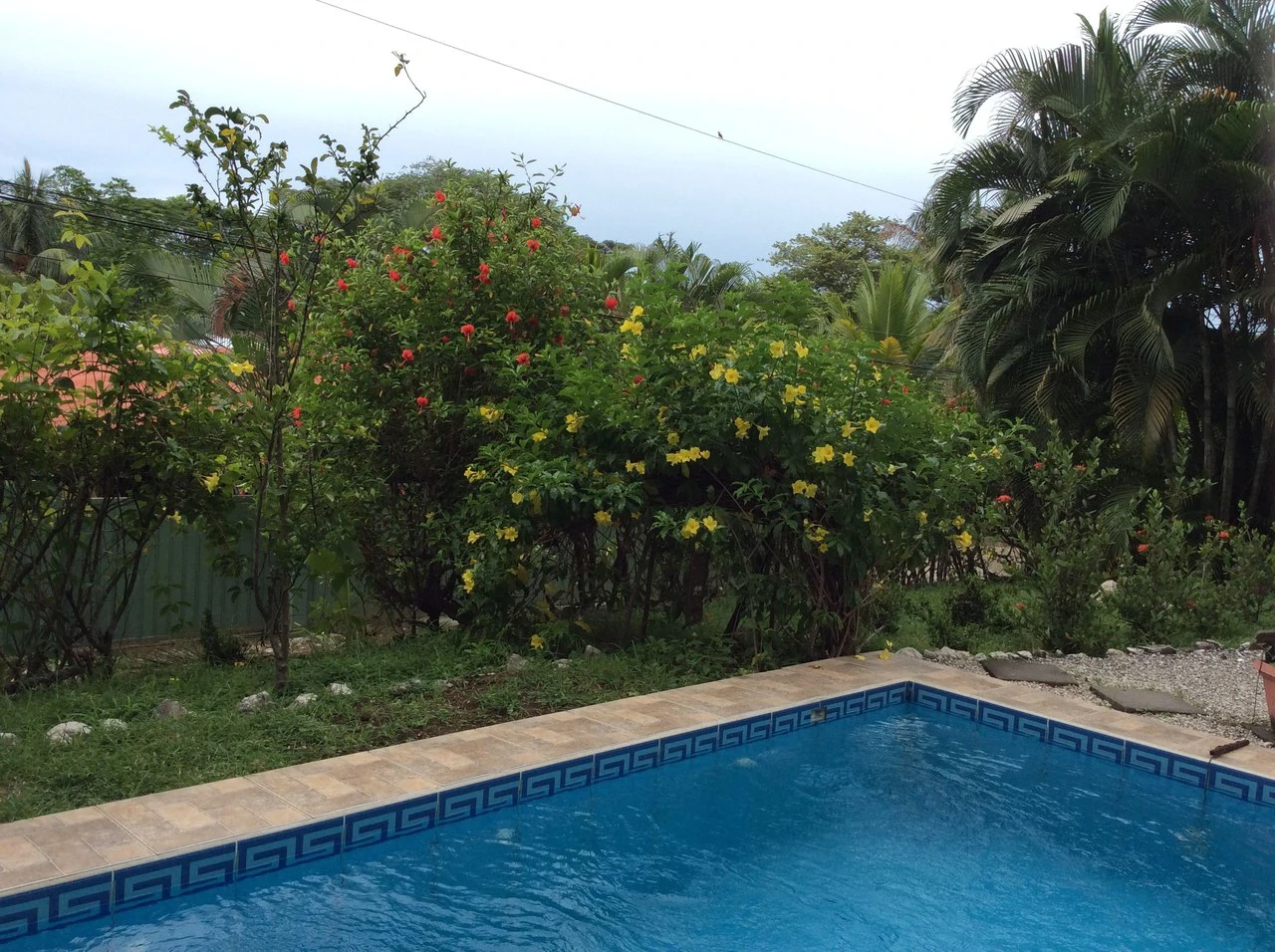 Casa Surfside: Huge Price Drop - Seller Facing Health Issues - Must Sell Quickly - 3 Rental Units with Main 2/2 Home and Pool - Walk or Bike to Beach and Town. - Gallery image 7