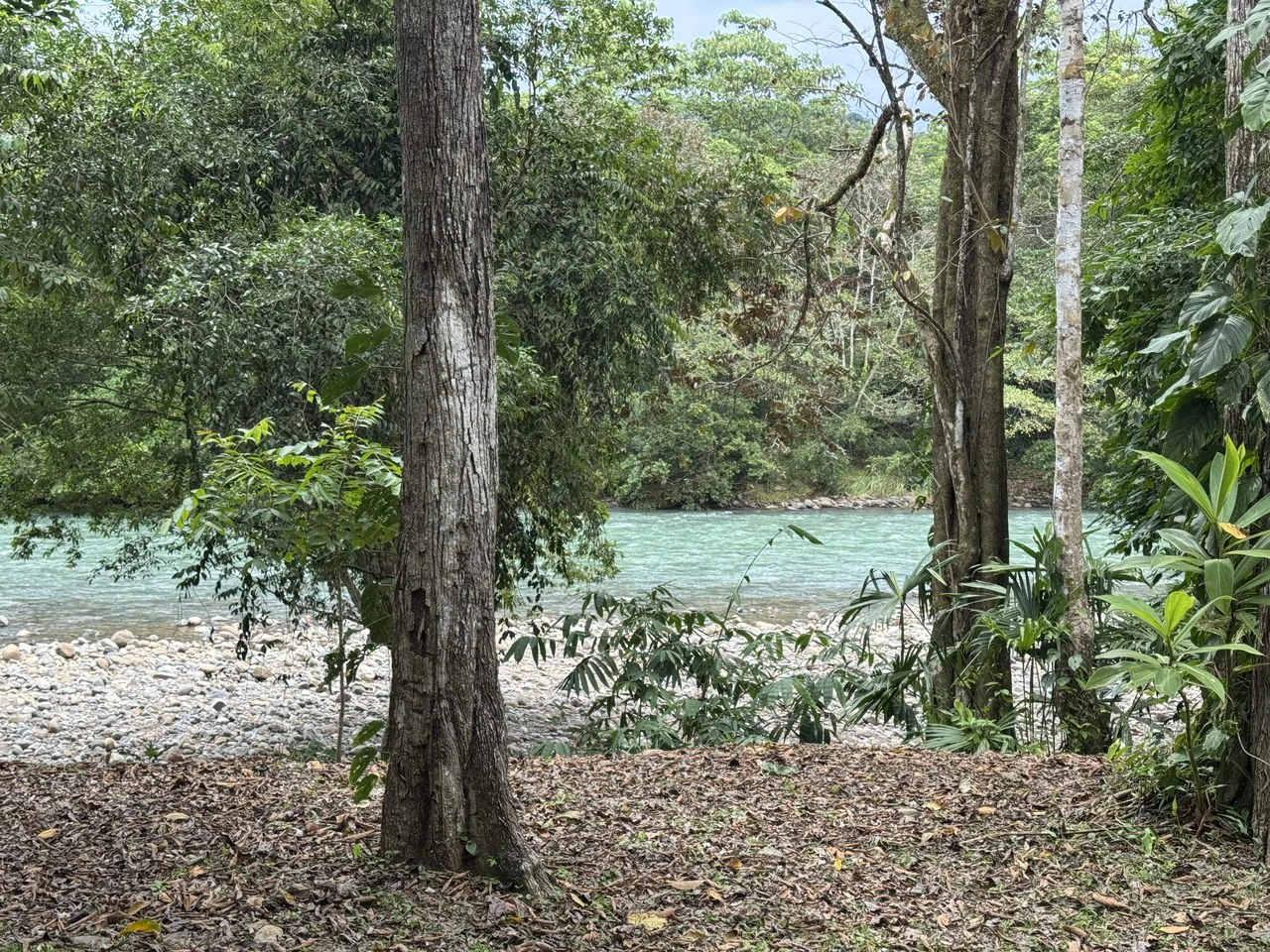 Riverfront Oasis on the Barú River Playa Dominical - Gallery image 6