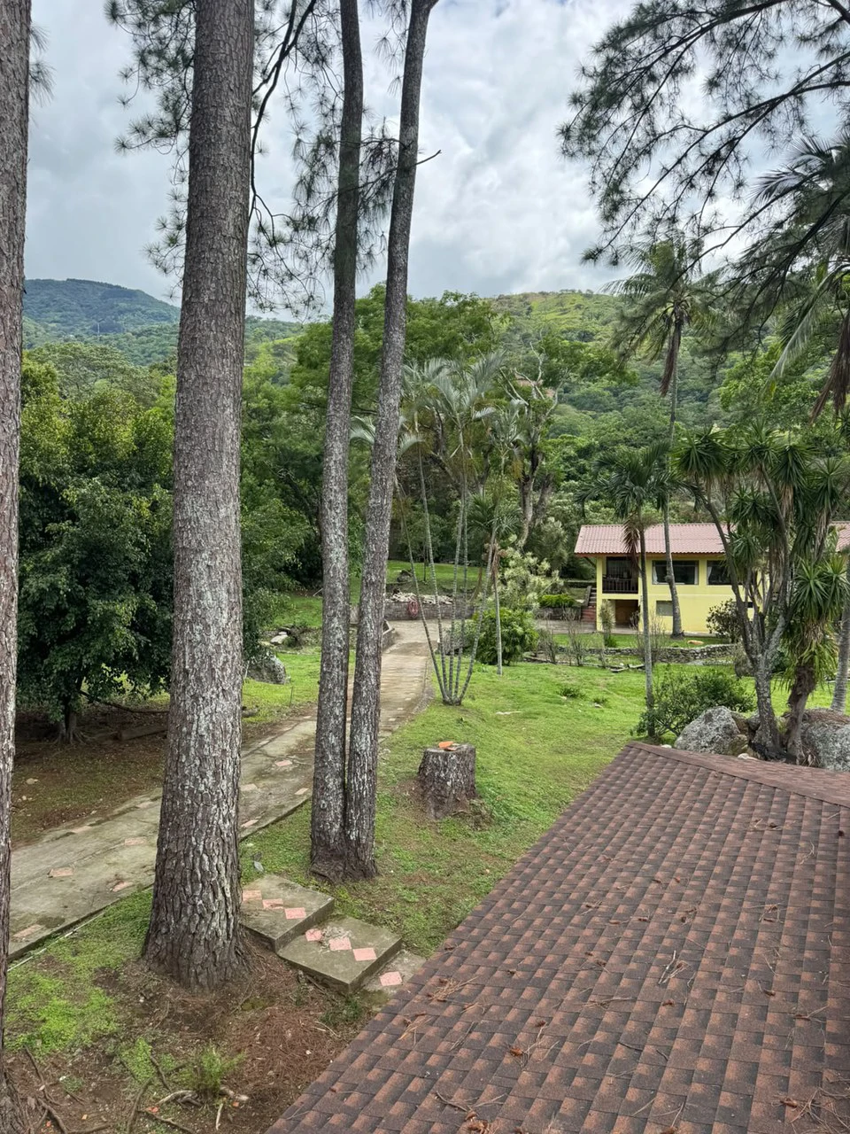 SANTA ANA GEM: LUXURY ESTATE COSTA RICA - Gallery image 5