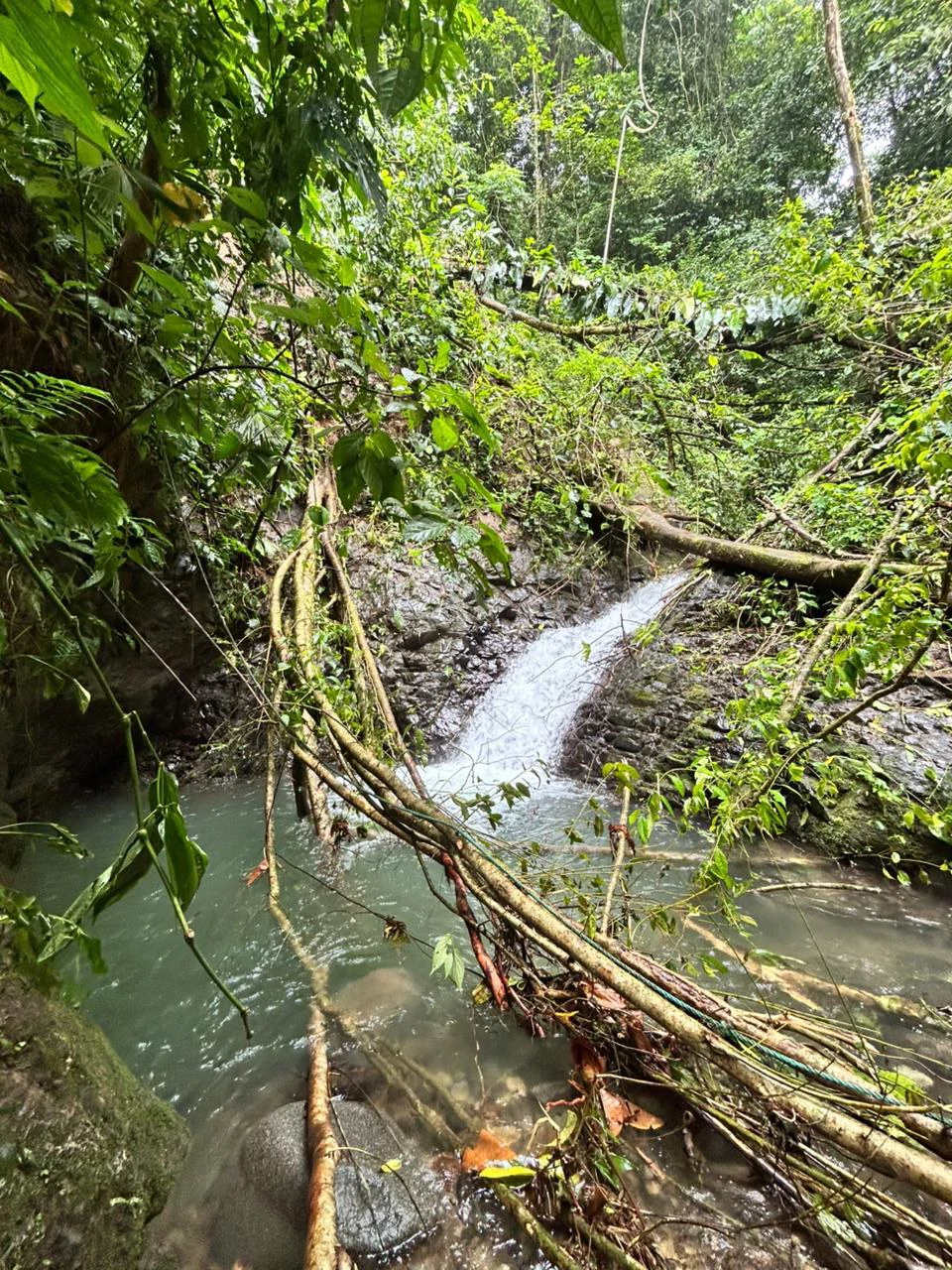 Finca Las Cataratas in Ballena: Mountain Home Construction Site For Sale in Bahía Ballena - Gallery image 20