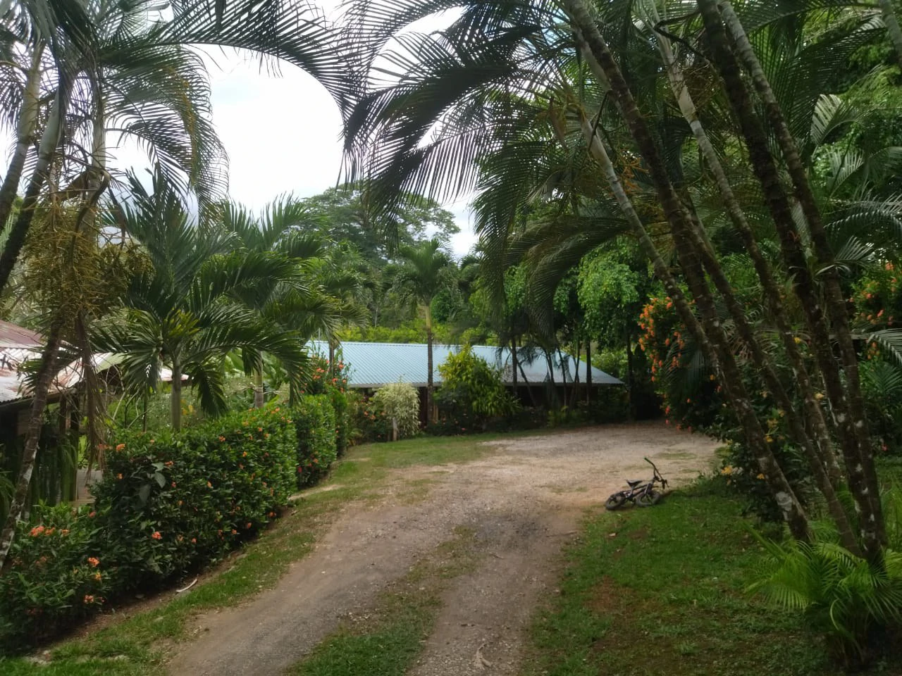 Pristine Business for Sale in Santo Domingos Forest, 3 cabins surrounded by wild nature, Tilapia lake with a dock, and a Restaurant - Gallery image 13