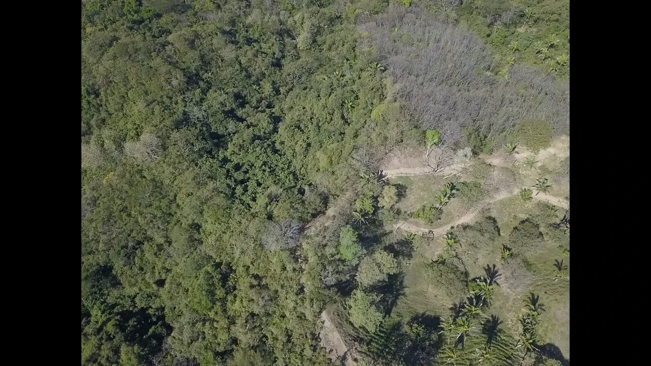 Finca Nora - Your Exclusive Tropical Paradise near Barrigona and Samara beach: Mountain Home Construction Site For Sale in Playa Samara - Gallery image 8