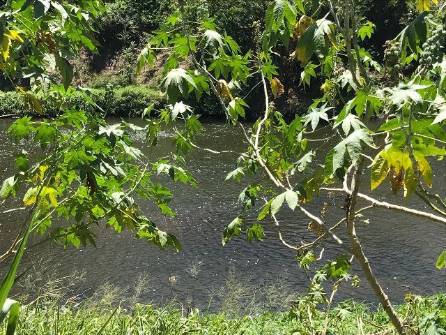 Huge terrain for sale in Guardia close to the International Airport of Liberia - Gallery image 15