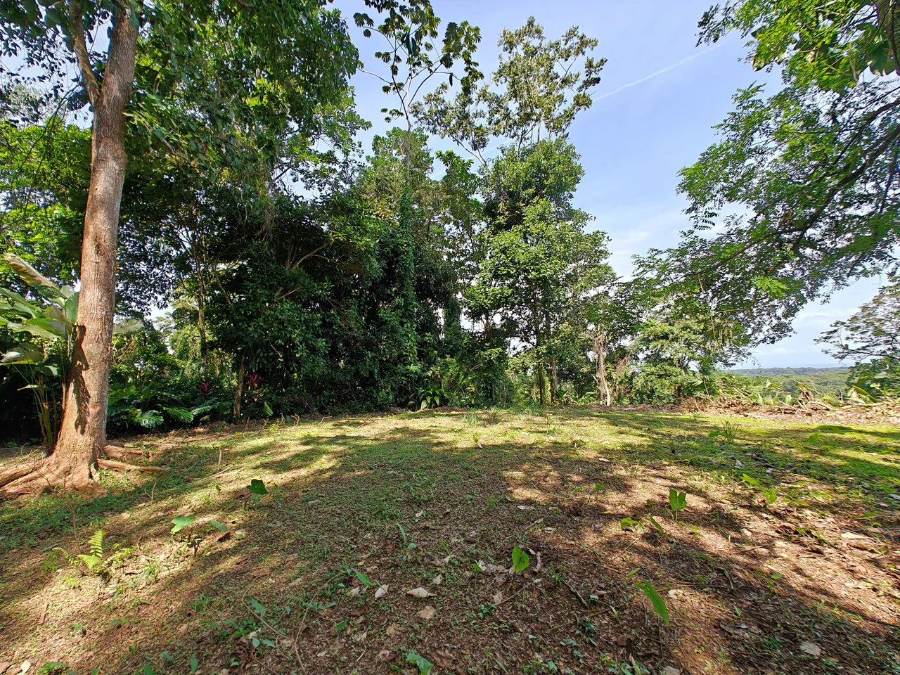 61,618m² of Land near Cahuita: With Existing Infrastructure and Ocean View - Gallery image 6
