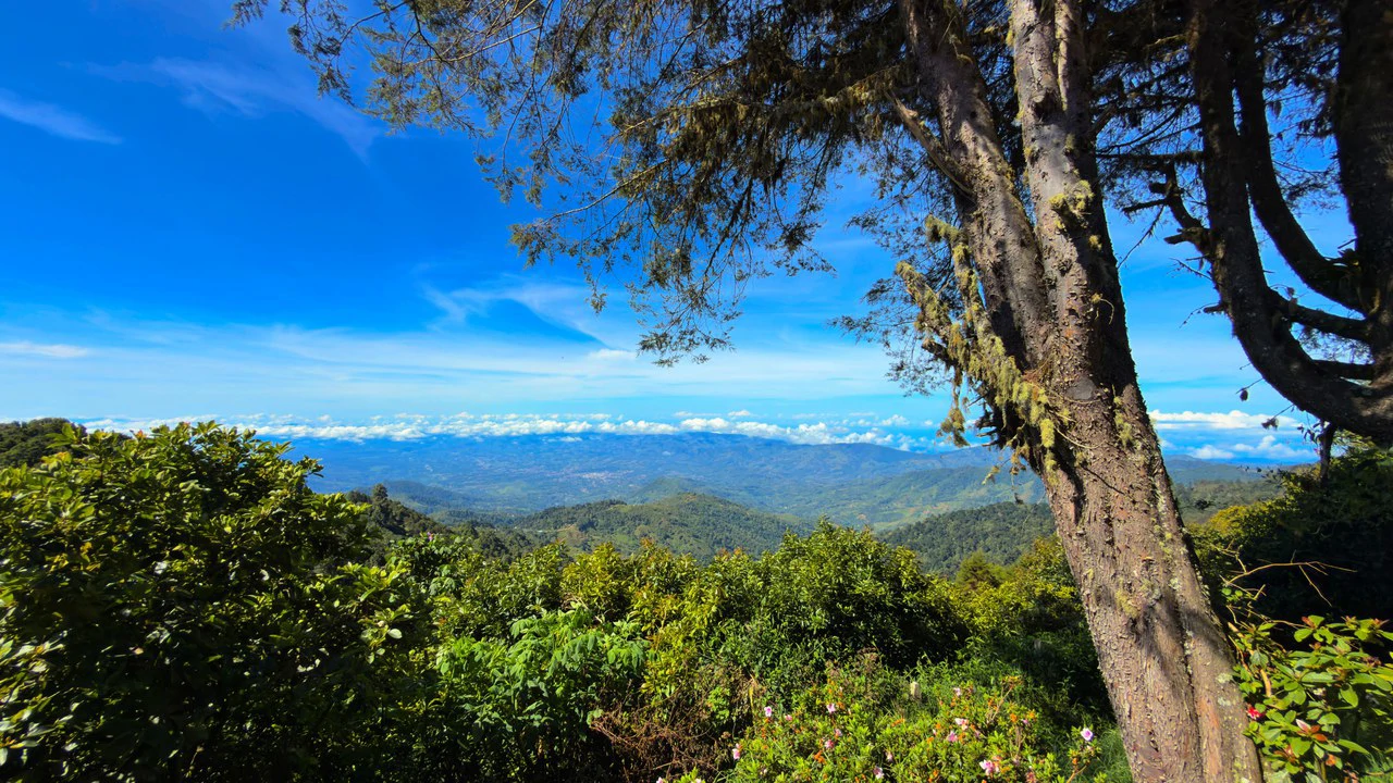 Mountain House For Sale in Division de Páramo - Gallery image 2