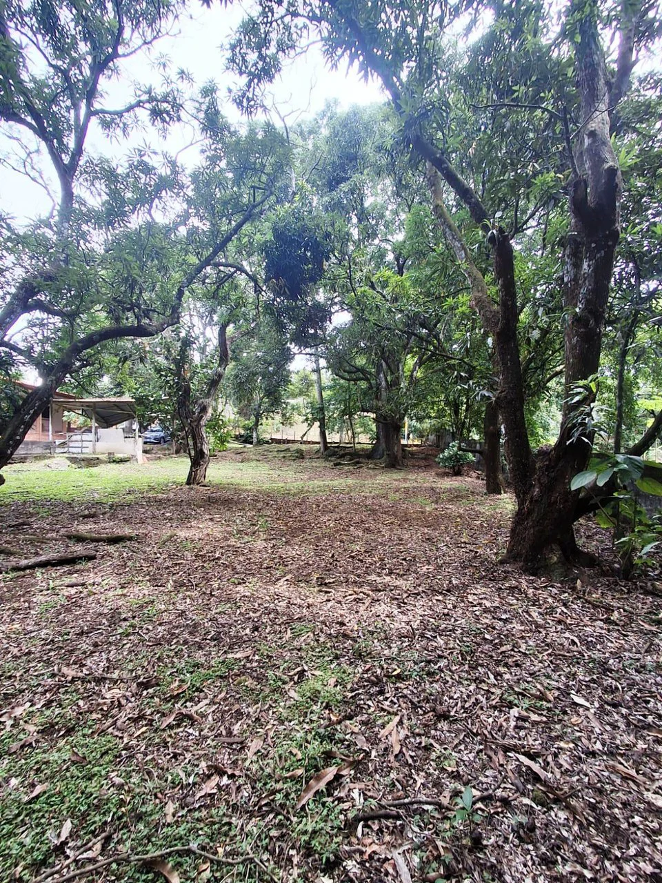 Flat Building Lot: 500 m2 Residential Lot in Atenas - photo 5