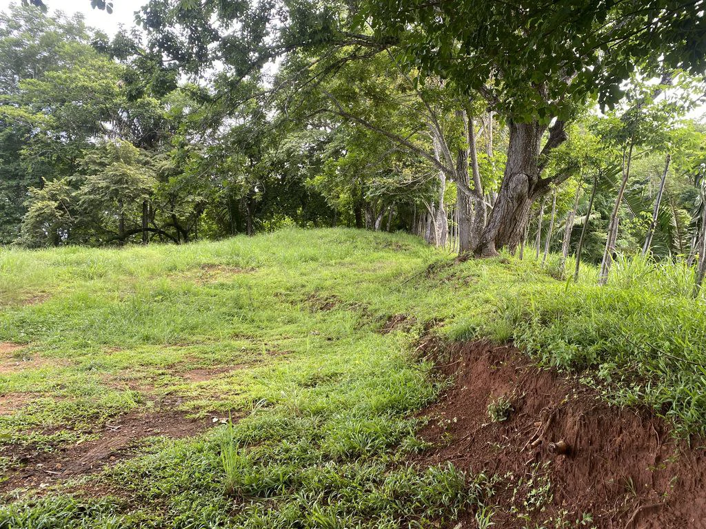 Finca Rio El Carmen: 3 HA Finca with Elevation Across from Renowned Rio Ora, 1 HA parcels available, Three 1700 m2 lots - All available in Rustic El Carmen - Gallery image 8