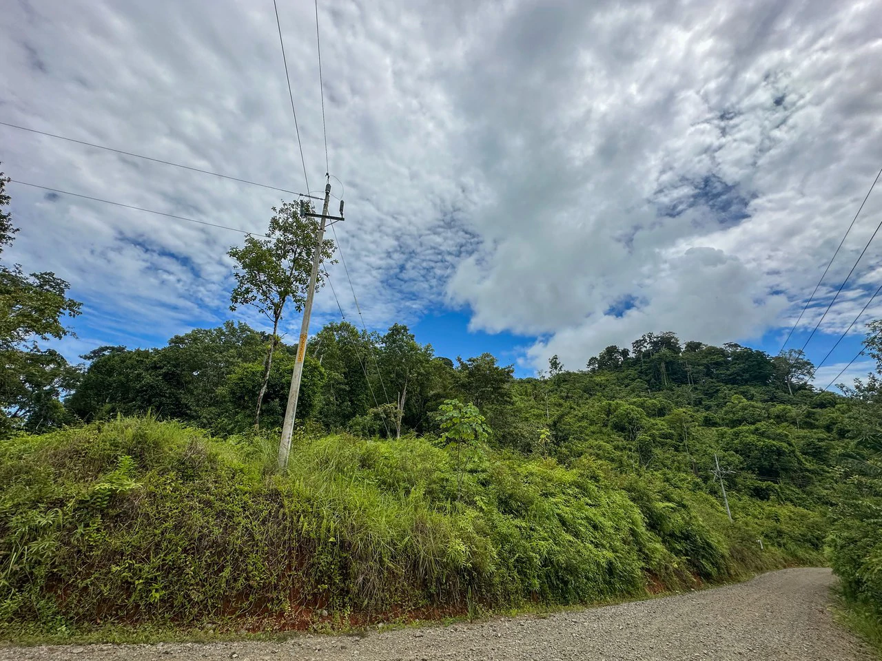Costa Rican Gem with Conservation Potential: Preserve 26 Acres of Pristine Land - Gallery image 7