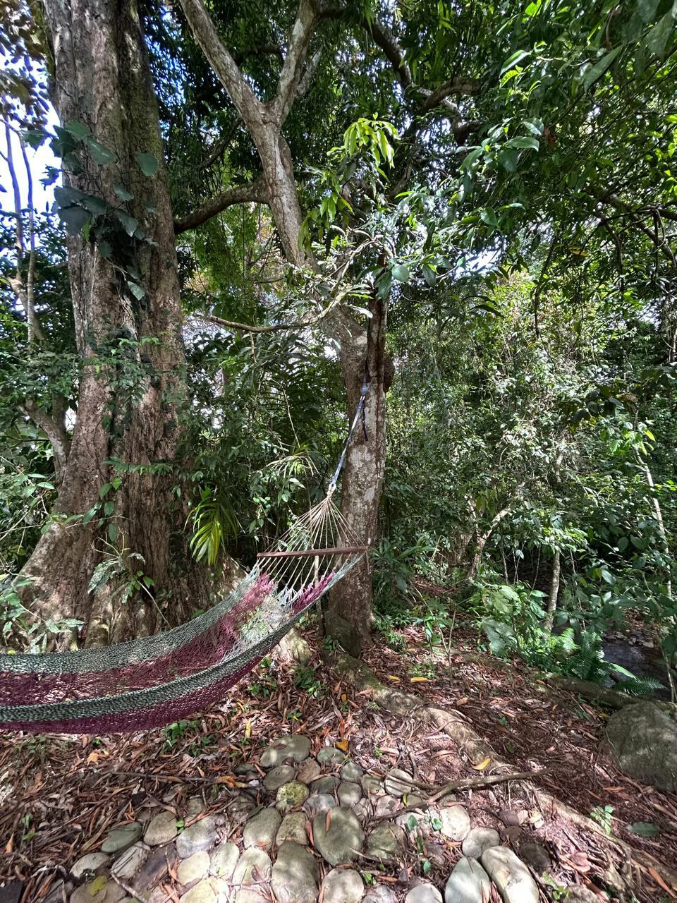 Hatillo Breeze, 2 Bedroom Home on 1,311m2 of usable land and year round creek!: House For Sale in Hatillo - Gallery image 31