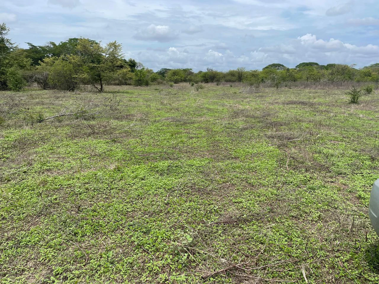 BEST PRICE! For sale comercial Property for warehouses or free zone, 1 km from Liberia Airport, Guanacaste, CR - Gallery image 9
