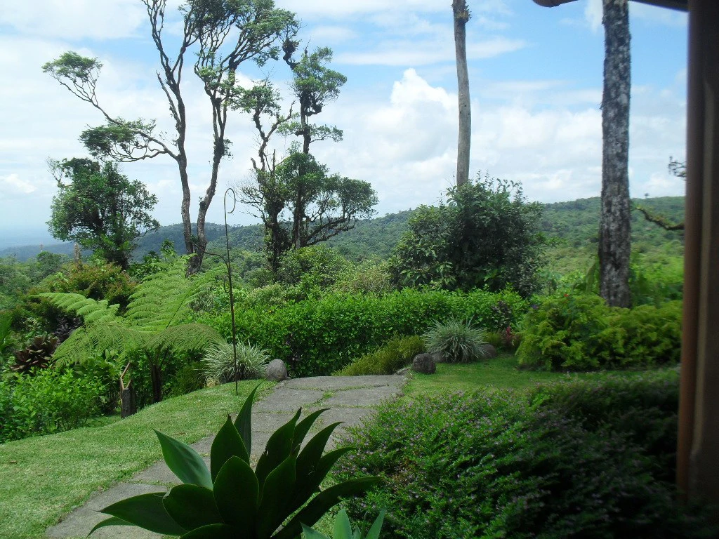 NATURE LOVERS PARADISE ! Jungle home on 25 acres with beautiful views - Gallery image 5