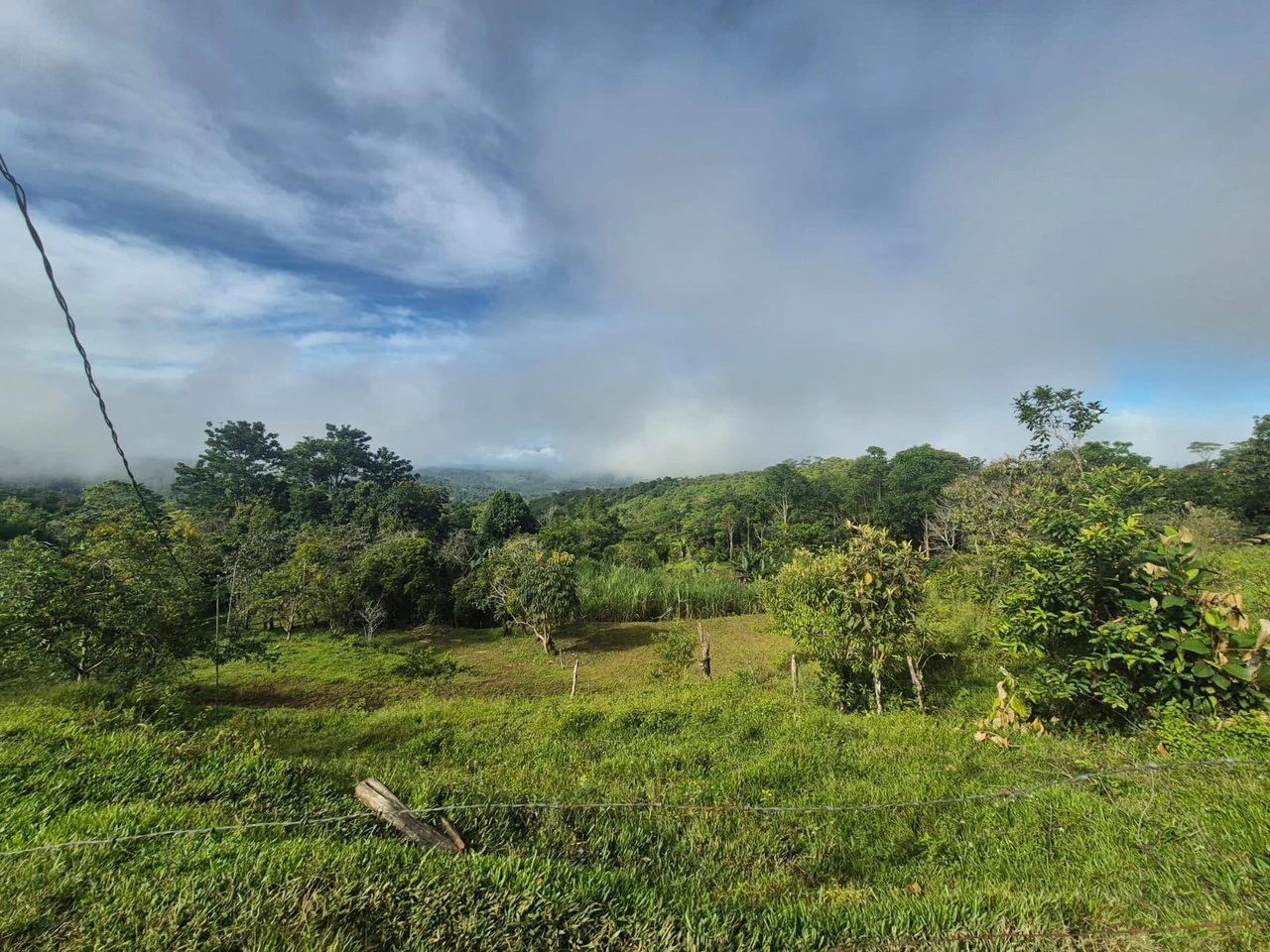 Propiedad en San Blas: Mountain Agricultural Land For Sale in La Linda General Viejo - Gallery image 7