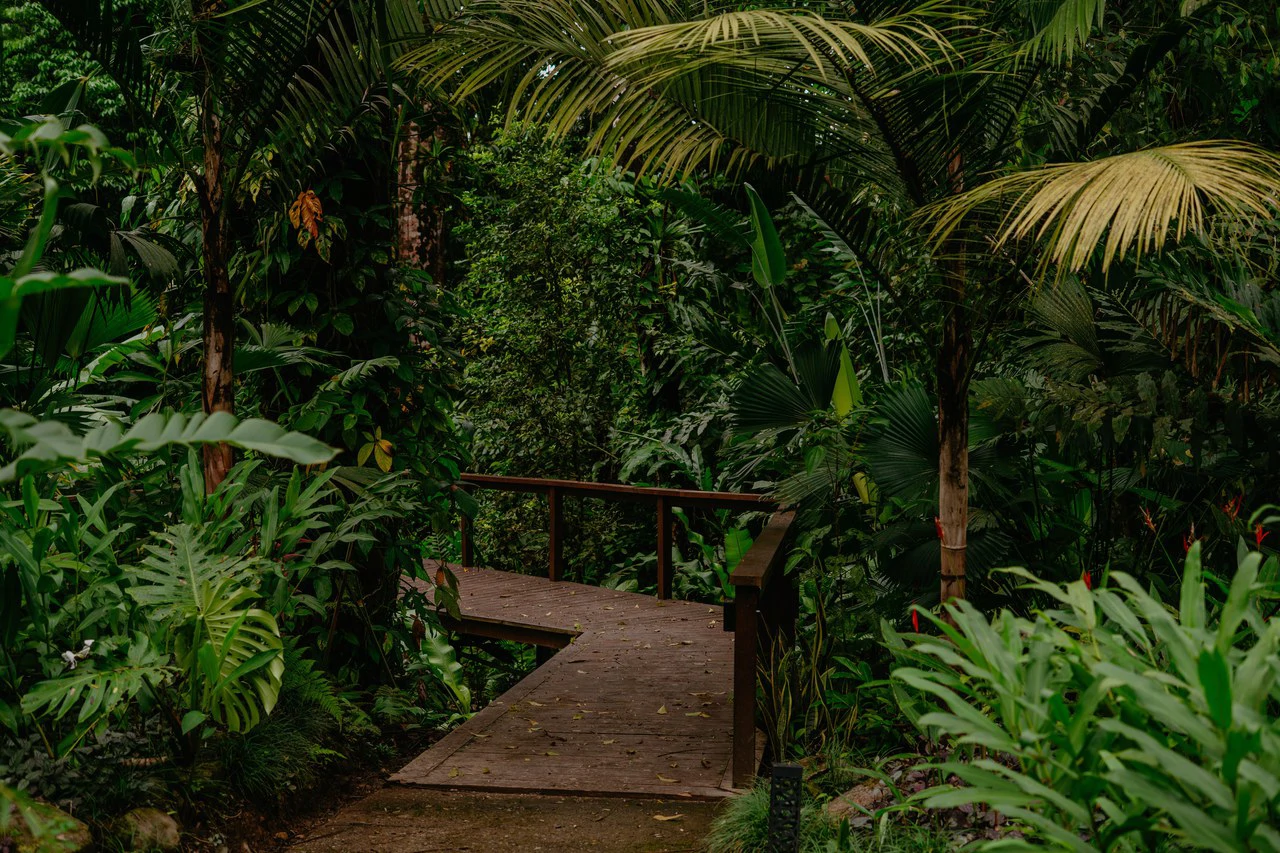 Jungle River Resort: Boutique Jungle River Resort with Pool, Restaurant & Cabinas in Ojochal - Gallery image 22