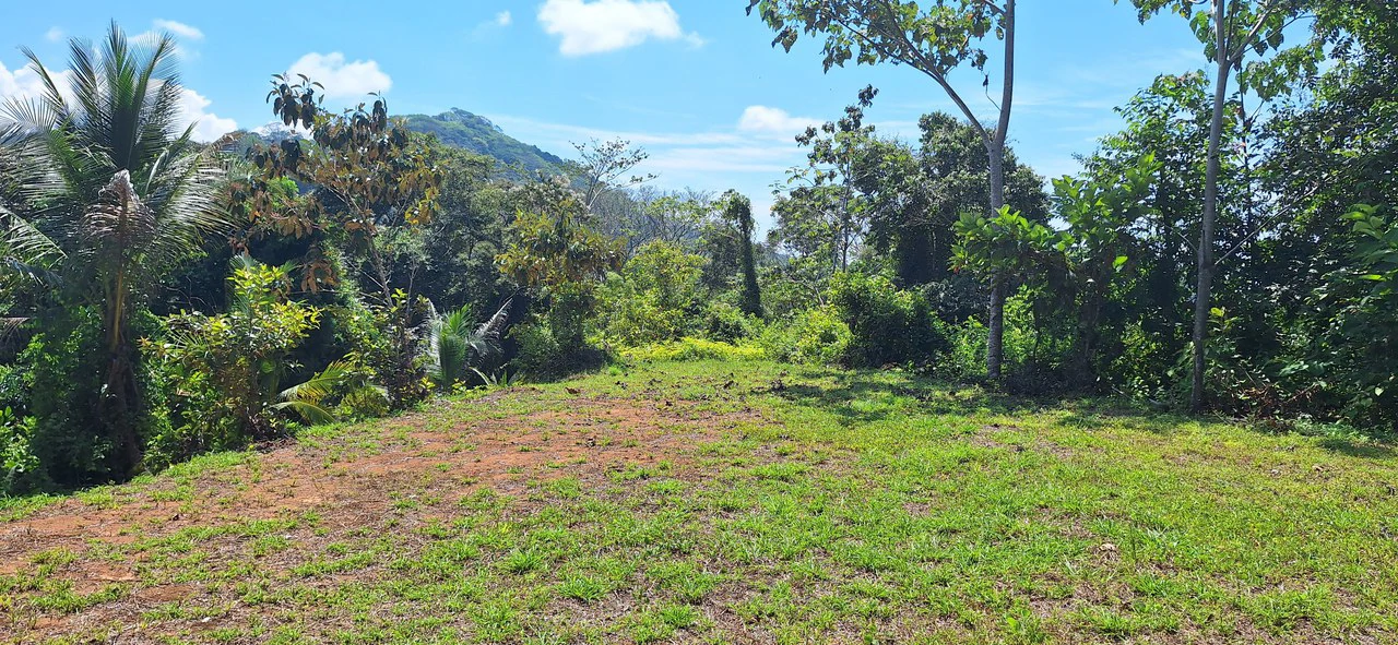 Exceptional Development Opportunity 71 acre Riverfront & Ocean View in Hatillo - Gallery image 29