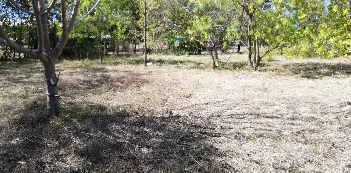 Property in Coco Beach